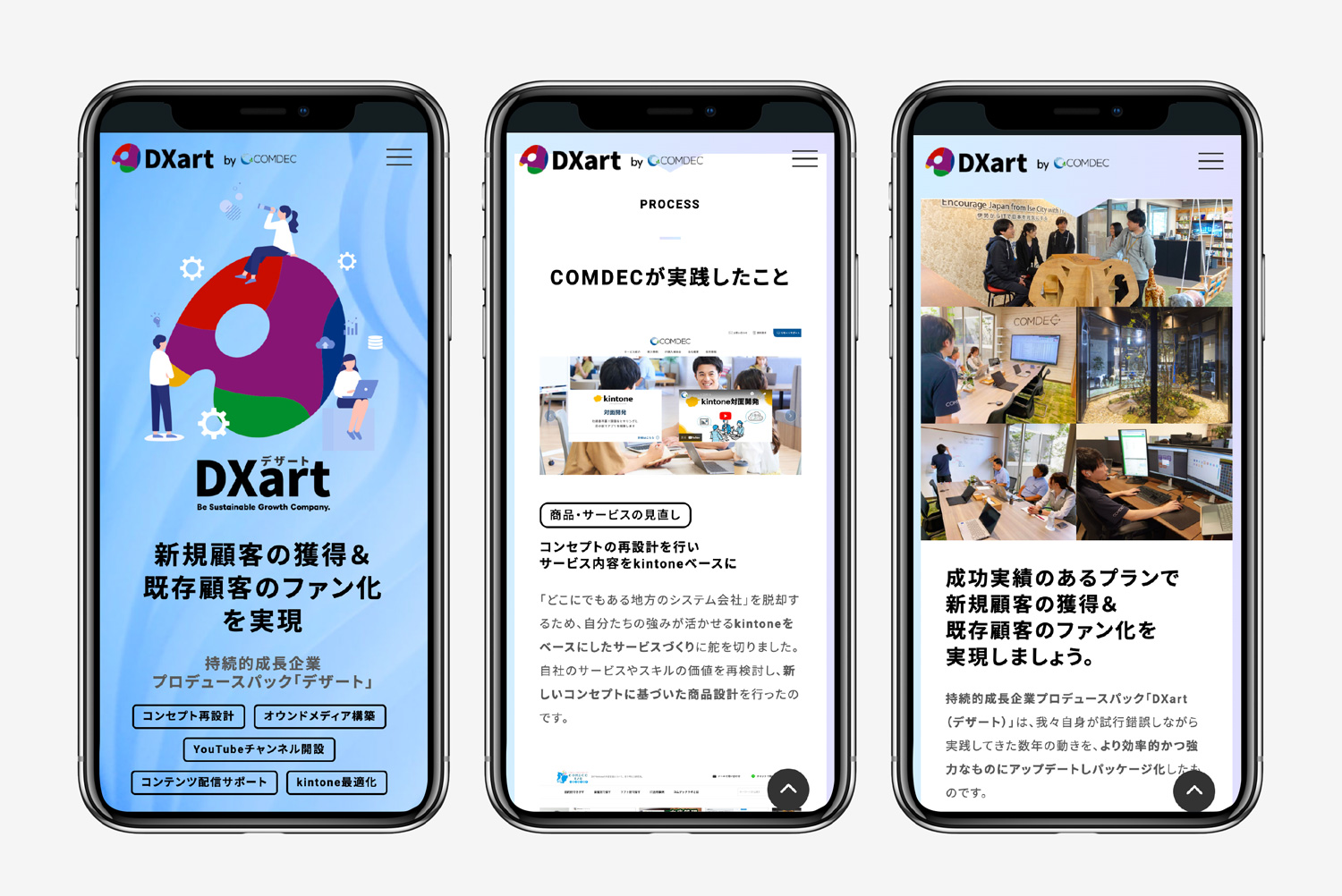 持続的成長企業プロデュースパック「DXart」（デザート）LP作成